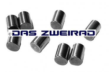 ZYLINDERROLLEN, 00 2391 110 018, SRAM ELAN 12, 1-BEUTEL